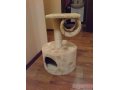 Домик для котенка в городе Тольятти, фото 1, Самарская область