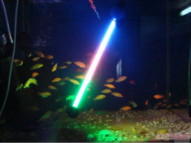 Светильник barbus. Barbus led 188. Погружная лампа Барбус для аквариума. Лампа подводная подсветка Барбус зеленая. Лампа подводная KW 50 см трёхцветная 120155.