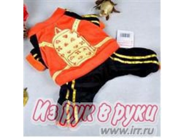 Одежда для собак в городе Тверь, фото 8, стоимость: 390 руб.