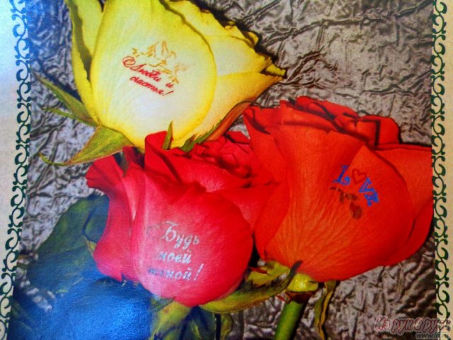 Говорящие цветы,  флористические наклейки в городе Владивосток, фото 10, стоимость: 10 руб.