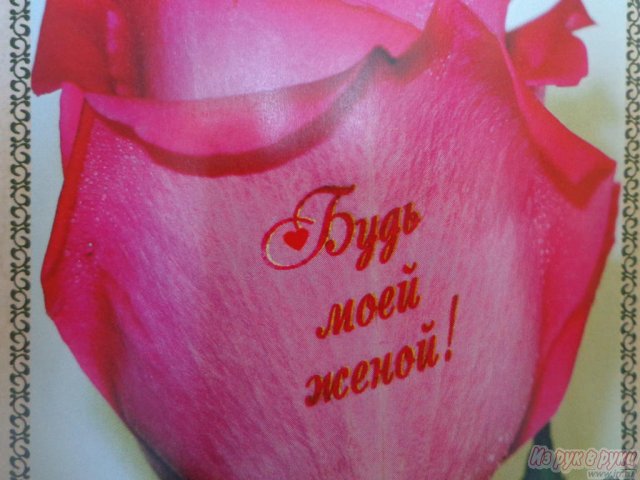 Говорящие цветы,  флористические наклейки в городе Владивосток, фото 3, Приморский край