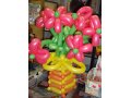 Букеты и фигуры из воздушных шаров в городе Смоленск, фото 8, стоимость: 350 руб.