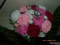 корзина с розами в городе Ростов-на-Дону, фото 1, Ростовская область