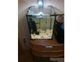 аквариум AquaEl 30л в комплекте в городе Москва, фото 1, Московская область