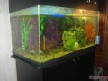 Продаю аквариум в городе Барнаул, фото 1, Алтайский край