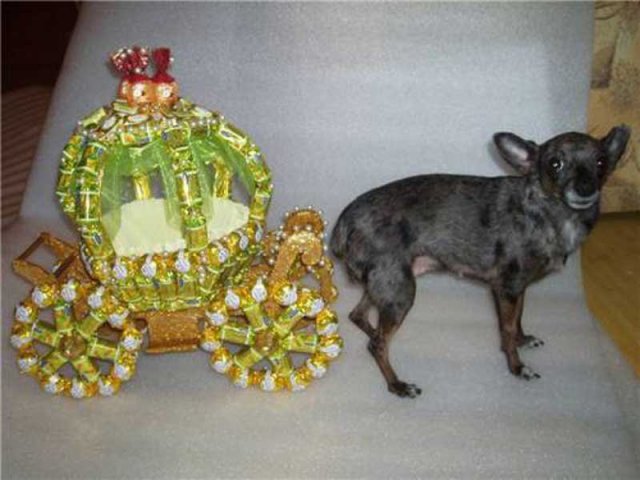 Продается карета Золушки из конфет - оригинальный сладкий подарок! в городе Тамбов, фото 1, стоимость: 0 руб.