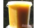 Цветочный мед оптом от производителя в городе Иркутск, фото 1, Иркутская область