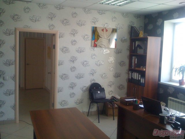 Офис 336 кв. м,  административное здание,   Ядринцева пер,   65 в городе Барнаул, фото 3, Алтайский край