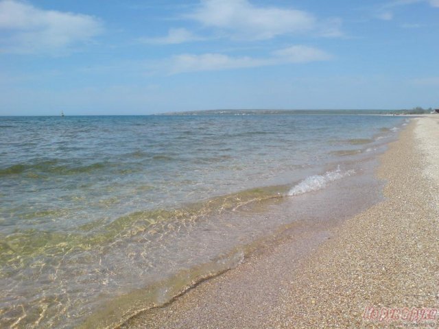 Отдых на берегу моря в городе Санкт-Петербург, фото 5, Ленинградская область