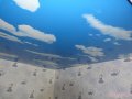 Бельгийские и немецкие натяжные потолки в городе Нижний Тагил, фото 1, Свердловская область
