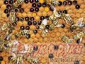 Пчелопакеты 2013 Карпатка в городе Тюмень, фото 1, Тюменская область