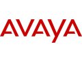 Заглушка Avaya IPO 500 blankihg plate KIT (700429194) в городе Москва, фото 1, Московская область