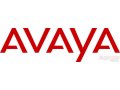 Лицензия Avaya IPO LIC UPG R8.1 LARGE (270399) в городе Москва, фото 1, Московская область