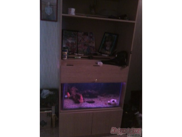 аквариум 160 л в городе Уссурийск, фото 2, стоимость: 6 000 руб.