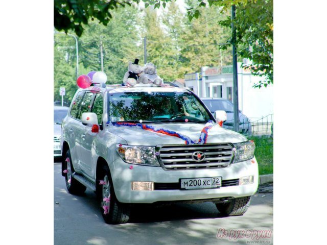 Продам Мишек teddy на свадебный автомобиль в городе Тюмень, фото 1, Другое