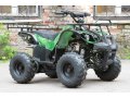 Квадроциклы Irbis ATV 110 U для детей и для взрослых,  Саранск в городе Саранск, фото 1, Мордовия