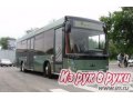 Средний городской низкопольный автобус МАЗ-206 в городе Нижний Новгород, фото 1, Нижегородская область