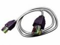 Патч корд Molex PCD-01000-0E RJ45.  UTP кат. 5e.  LSZH.  0.5 м.  серый в городе Екатеринбург, фото 1, Свердловская область