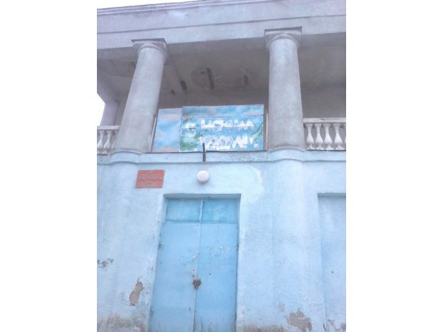 Прдами здание Гагарина ул. (с. Девица) 1180.00 Дом культуры 1180,3 кв. м., с участком 146 сот., документы готовы № 245001 в городе Воронеж, фото 3, Продажа отдельно стоящих зданий и особняков