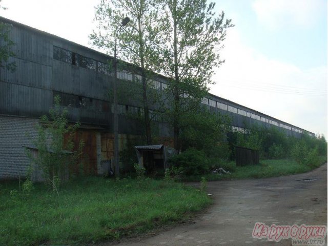 Помещение под склад 5000 кв. м,   Железнодорожная ул,   45,  ж/д ветка в городе Псков, фото 8, стоимость: 500 000 руб.