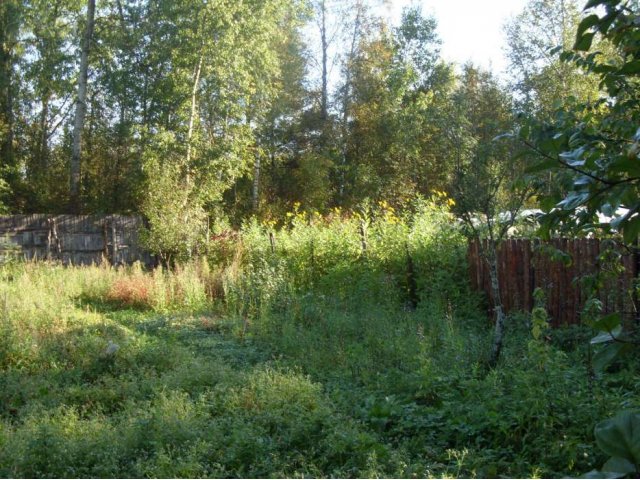 Продам крепкий кирпичный дом на ул. Карбышева, рядом лес и река Череха в городе Псков, фото 5, Псковская область