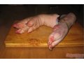 Ножки свиные в городе Воронеж, фото 1, Воронежская область