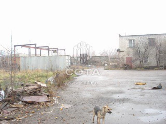 База,  , 50000р в городе Воронеж, фото 3, Аренда отдельно стоящих зданий и особняков