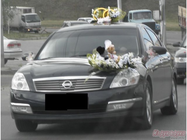 Украшение на свадебную машину в городе Новосибирск, фото 1, Другое