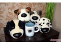 собачки 5 штук+ чашка в городе Калининград, фото 1, Калининградская область
