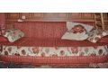 Продам диван срочно в городе Тольятти, фото 3, Диваны