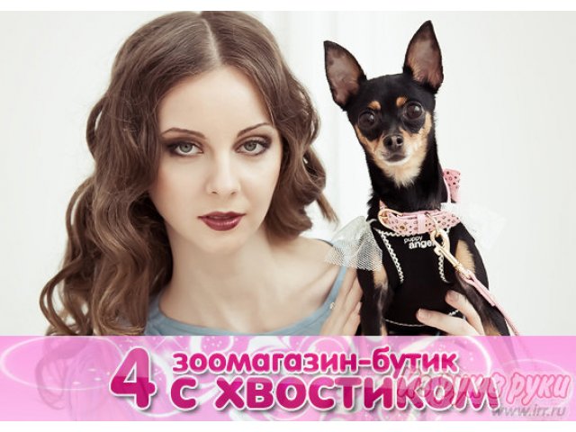 Одежда для собак от кутюрье собачьей моды. в городе Нижний Новгород, фото 3, Нижегородская область
