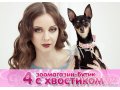 Одежда для собак от кутюрье собачьей моды. в городе Нижний Новгород, фото 3, Одежда для животных