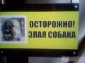 Осторожно!!злая собака в городе Новосибирск, фото 1, Новосибирская область