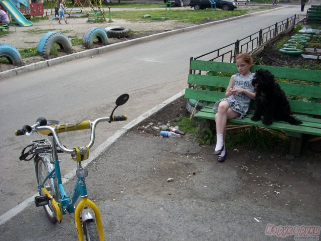 велосипед в городе Екатеринбург, фото 1, стоимость: 2 000 руб.