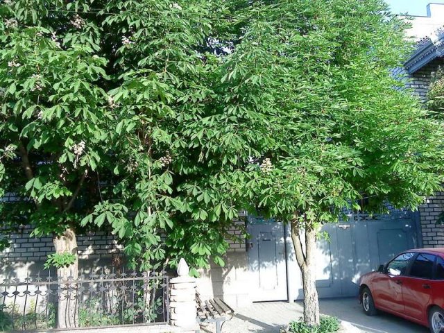Продам домовладение в г. Светлограде СК в городе Нальчик, фото 1, Продажа домов в городе