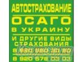 Продавец полисов автострахования в городе Белгород, фото 1, Белгородская область