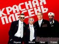 42 альбома группы Красная Плесень в городе Владимир, фото 1, Владимирская область