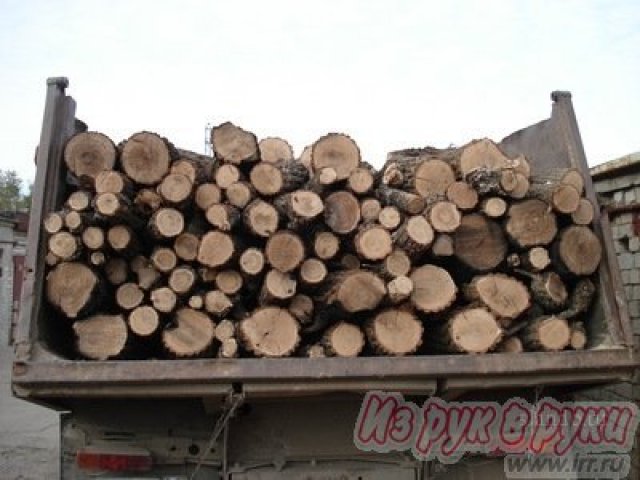 Продаю дрова береза,  дуб. в городе Саратов, фото 1, стоимость: 1 000 руб.