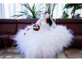 Продам оригинальное свадебное платье-трансформер 2 в 1 в городе Новосибирск, фото 3, Свадебные платья
