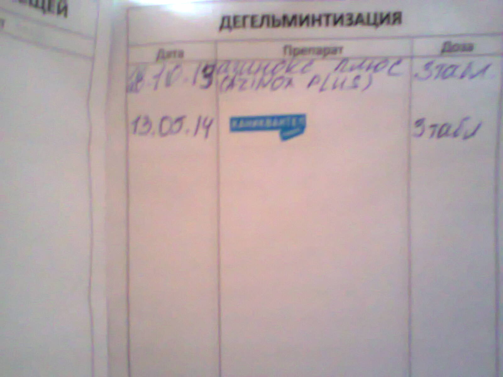 Ищем суку для кобеля питбуля в городе Ставрополь, фото 4, телефон продавца: +7 (906) 474-19-17