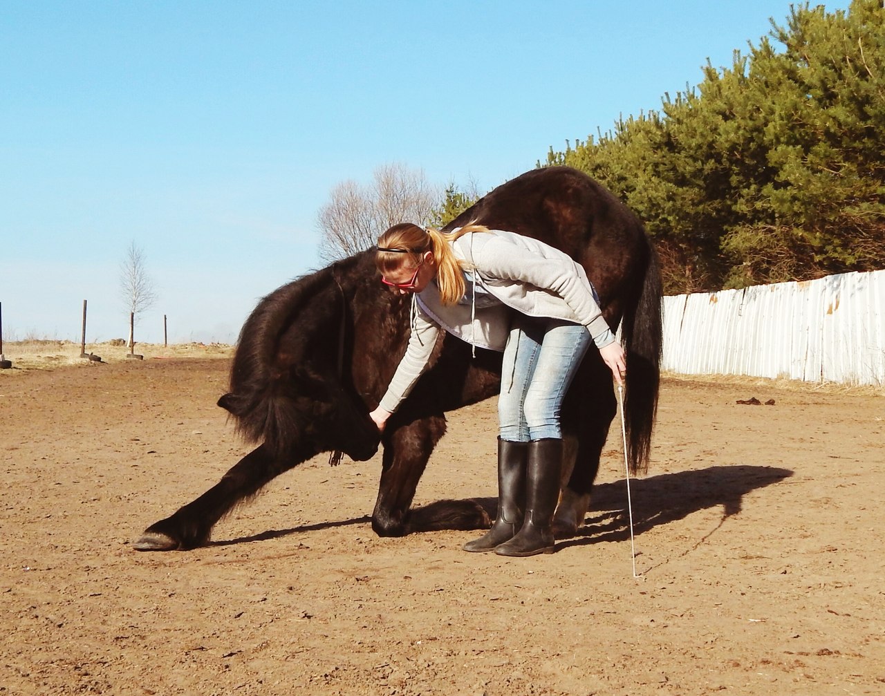 Обучение верховой езде, конному спорту в городе Тверь, фото 2, телефон продавца: +7 (904) 010-97-50