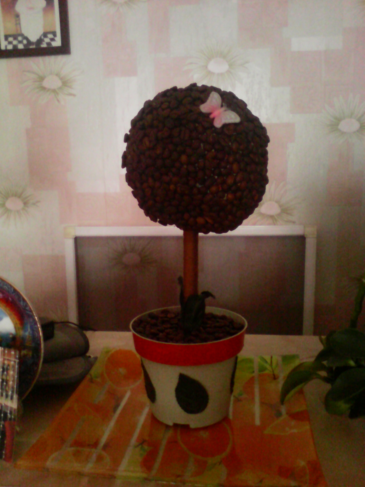 Кофейное дерево в городе Бийск, фото 1, Алтайский край