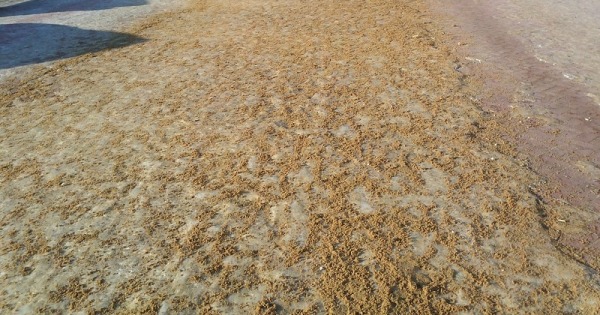 Песко-соляная смесь в городе Нижний Новгород, фото 1, Нижегородская область
