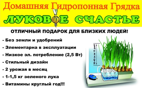 Луковое Счастье домашняя чудо грядка гидропонный выращиватель зелёного лука на подоконнике в городе Москва, фото 7, стоимость: 1 690 руб.