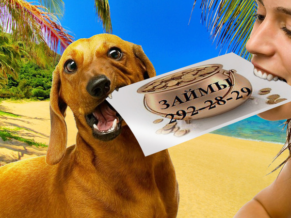 Денежные займы в Новосибирске, в городе Новосибирск, фото 2, Финансовая помощь, консультации