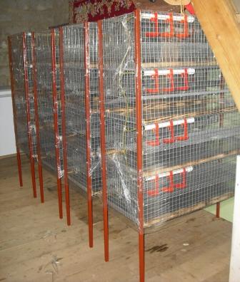 Клеточное оборудование для перепелов, молодняка птицы в городе Курган, фото 1, телефон продавца: +7 (927) 849-64-75