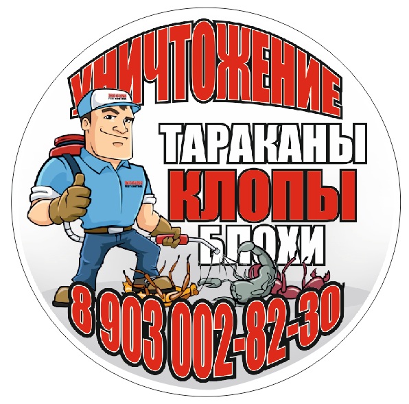 Выводим домашних клопов в Домодедово. 8 903 002 82 30 в городе Истра, фото 1, Московская область