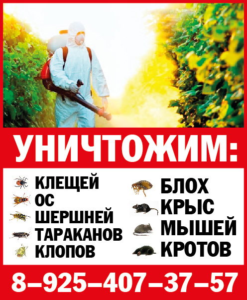 Уничтожение насекомых в Обнинске,в Боровске,в Калужской обл. в городе Козельск, фото 1, Калужская область