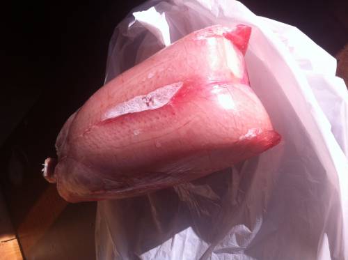 Курица Цб оптом от 75 руб/кг (с Ндс) в городе Москва, фото 1, Московская область