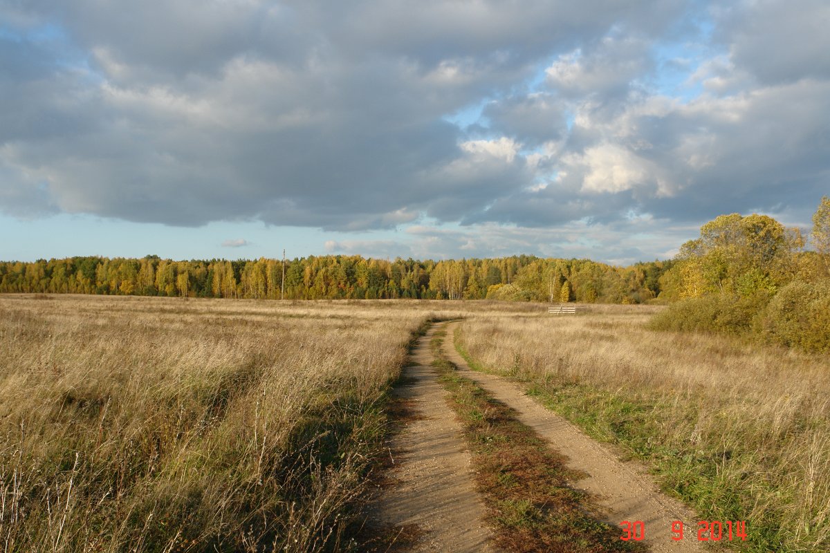 Продается зем. участок 90ГА с мини-фермой и жилым домом в 250 км от Москвы в городе Мосальск, фото 1, Калужская область